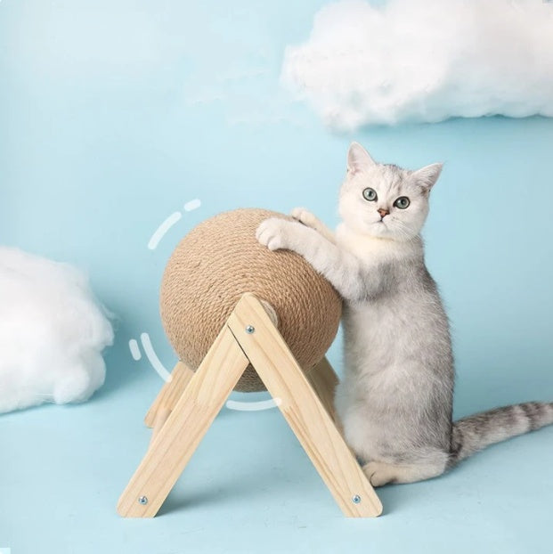 Cat Climbing Frame & Scratch Post for Indoor Cats